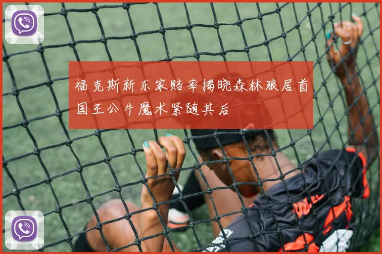 福克斯新东家赔率揭晓森林狼居首国王公牛魔术紧随其后